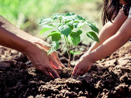 Environmental Conservation